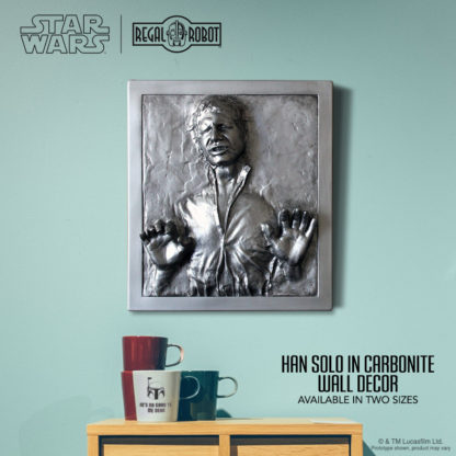 Han Solo Carbonite prop wall art relief sculpture