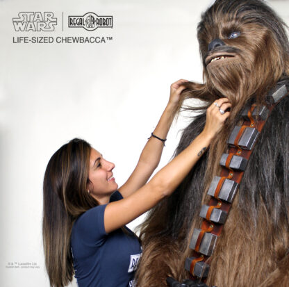 Chewbacca mask and prop statue