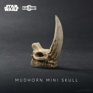 Regal Robot Star Wars Mandalorian skulls and decor