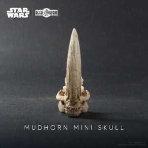 Regal Robot Star Wars Mandalorian skulls and decor
