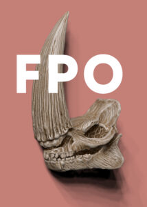 delete FPO