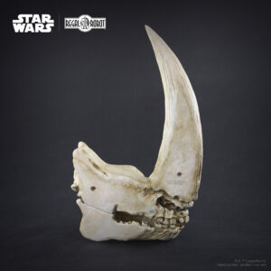The mandalorian Mudhorn skull wall decor