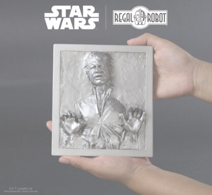 Han Solo™ Carbonite plaque for wall decor