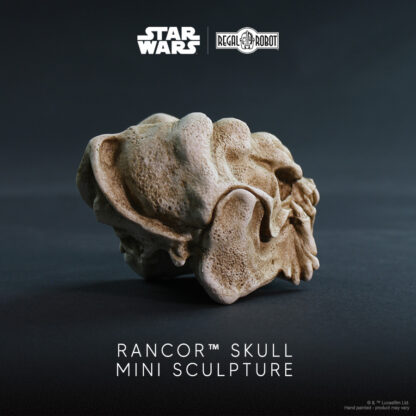 Rancor skull from Jabba the Hutt's Palace