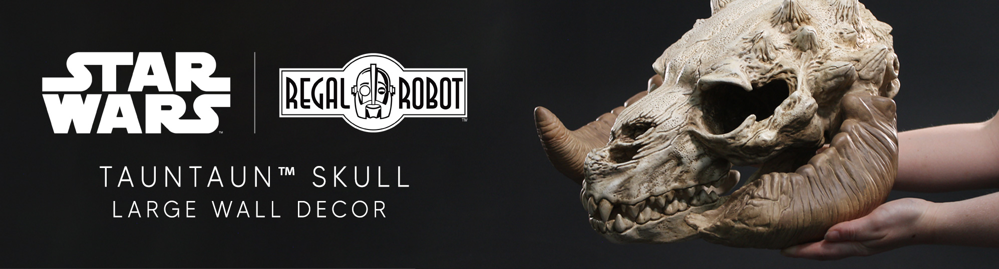 star wars resin skull wall decor sculpture by Regal Robot